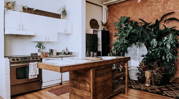 Natural Trends interior design spaces home - wood and plants 