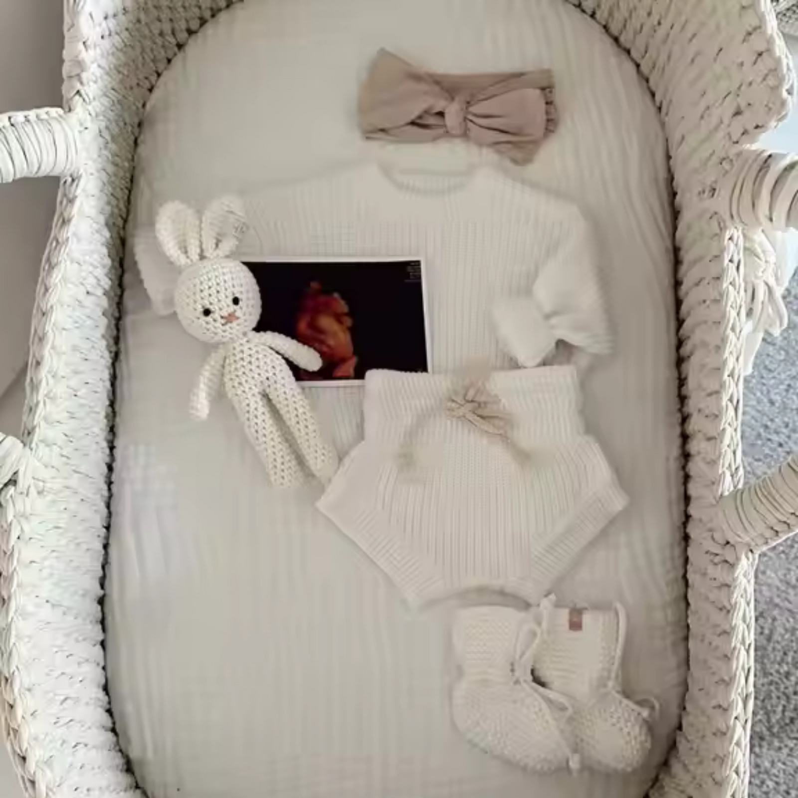 Baby Moses Basket Bassinet with Straight Hood My Home Design