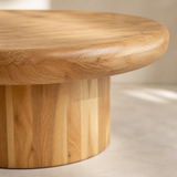 Arlo Low-Profile Coffee Table — rounded timber edge detail