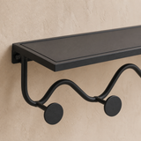 Oriel black powder-coated metal shelf rim, wave rail and disc hook detail