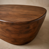 The Arlo Curved Coffee Table umber mango wood detail