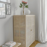 Camel Ratan Cabinet Living Room & Bedroom (6838974054582)